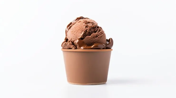 Chocolate Ice cream from Fruitopia